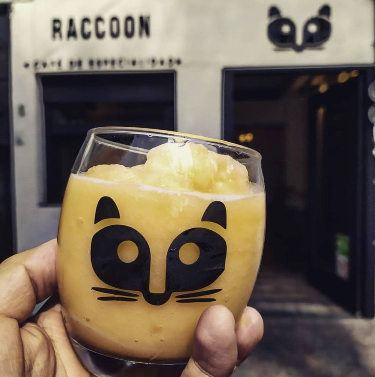 Raccoon Café